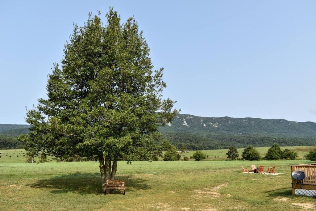 Holly Tree Retreat Located In Beautiful Luray, Va. Villa ภายนอก รูปภาพ
