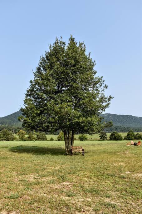 Holly Tree Retreat Located In Beautiful Luray, Va. Villa ภายนอก รูปภาพ