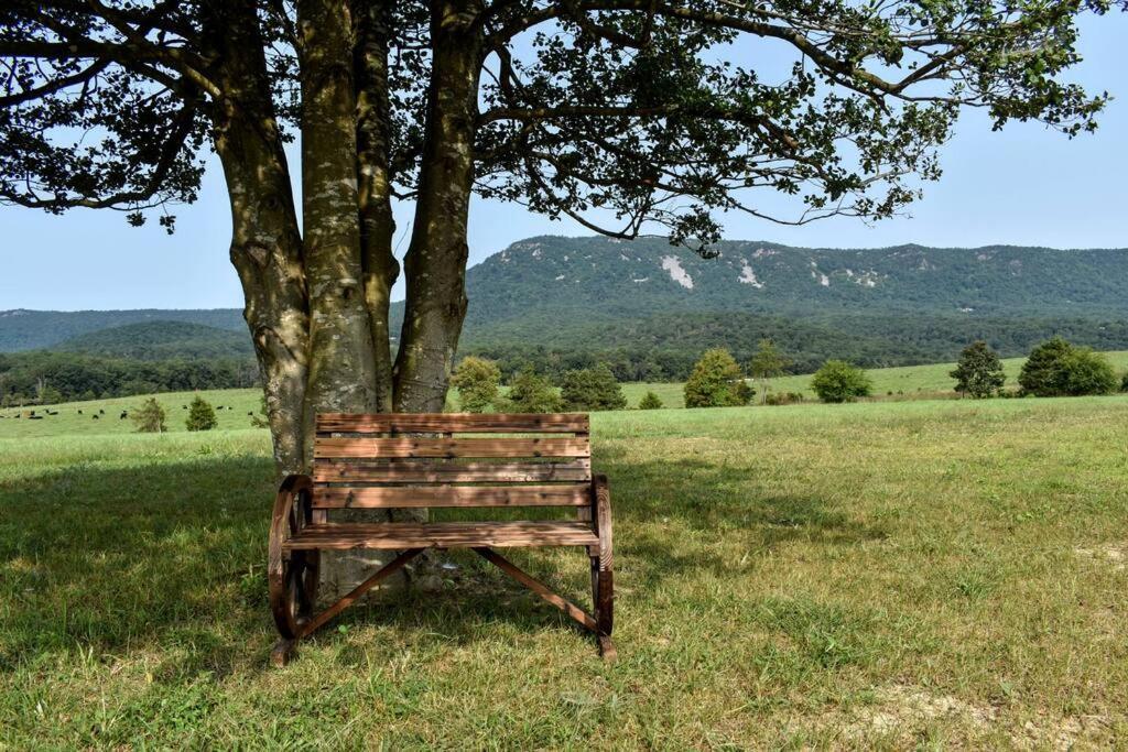 Holly Tree Retreat Located In Beautiful Luray, Va. Villa ภายนอก รูปภาพ