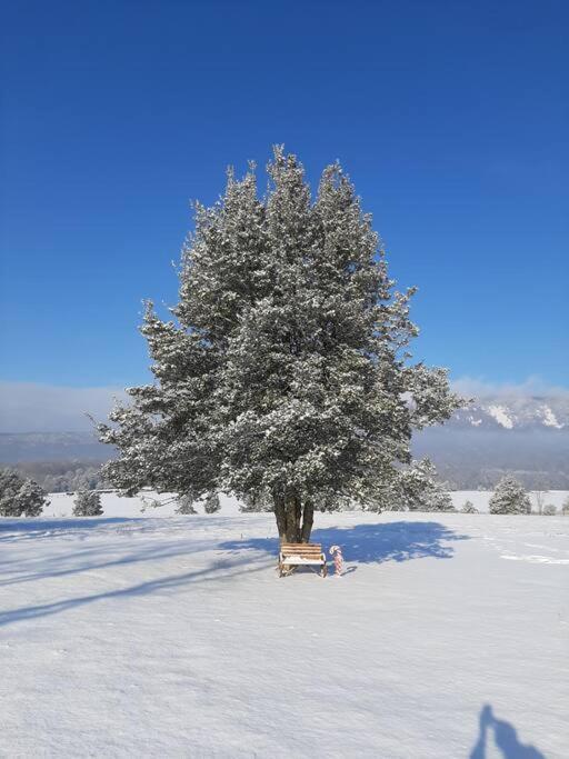 Holly Tree Retreat Located In Beautiful Luray, Va. Villa ภายนอก รูปภาพ
