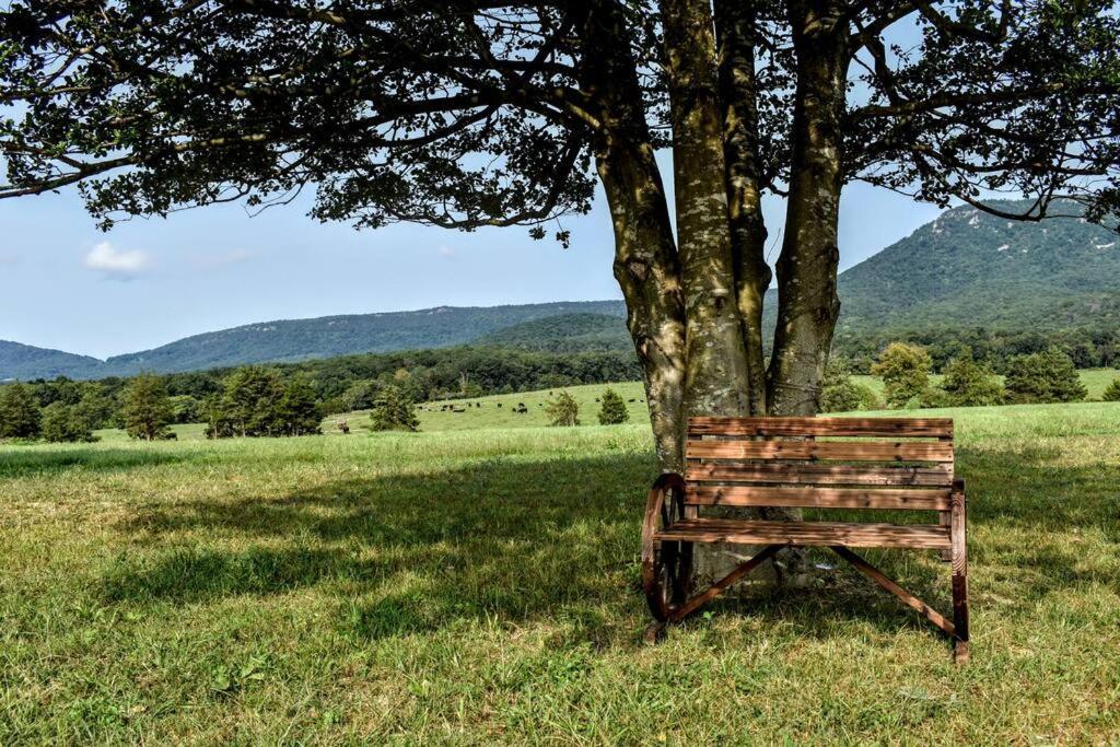Holly Tree Retreat Located In Beautiful Luray, Va. Villa ภายนอก รูปภาพ