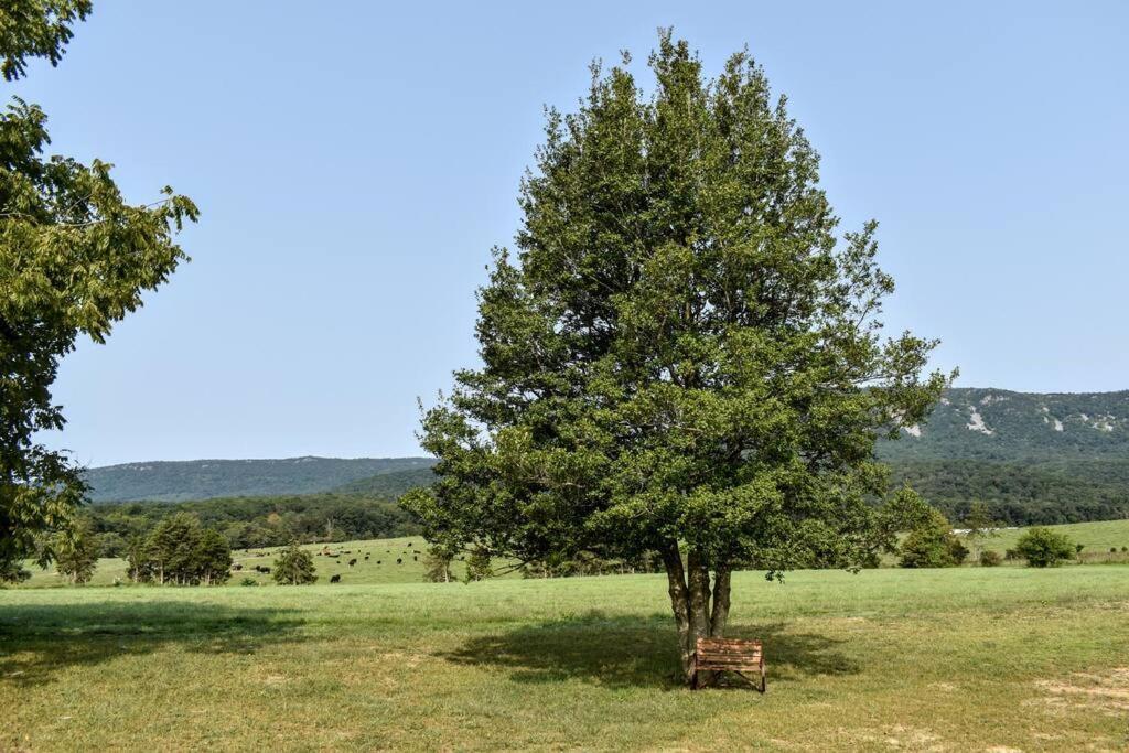 Holly Tree Retreat Located In Beautiful Luray, Va. Villa ภายนอก รูปภาพ